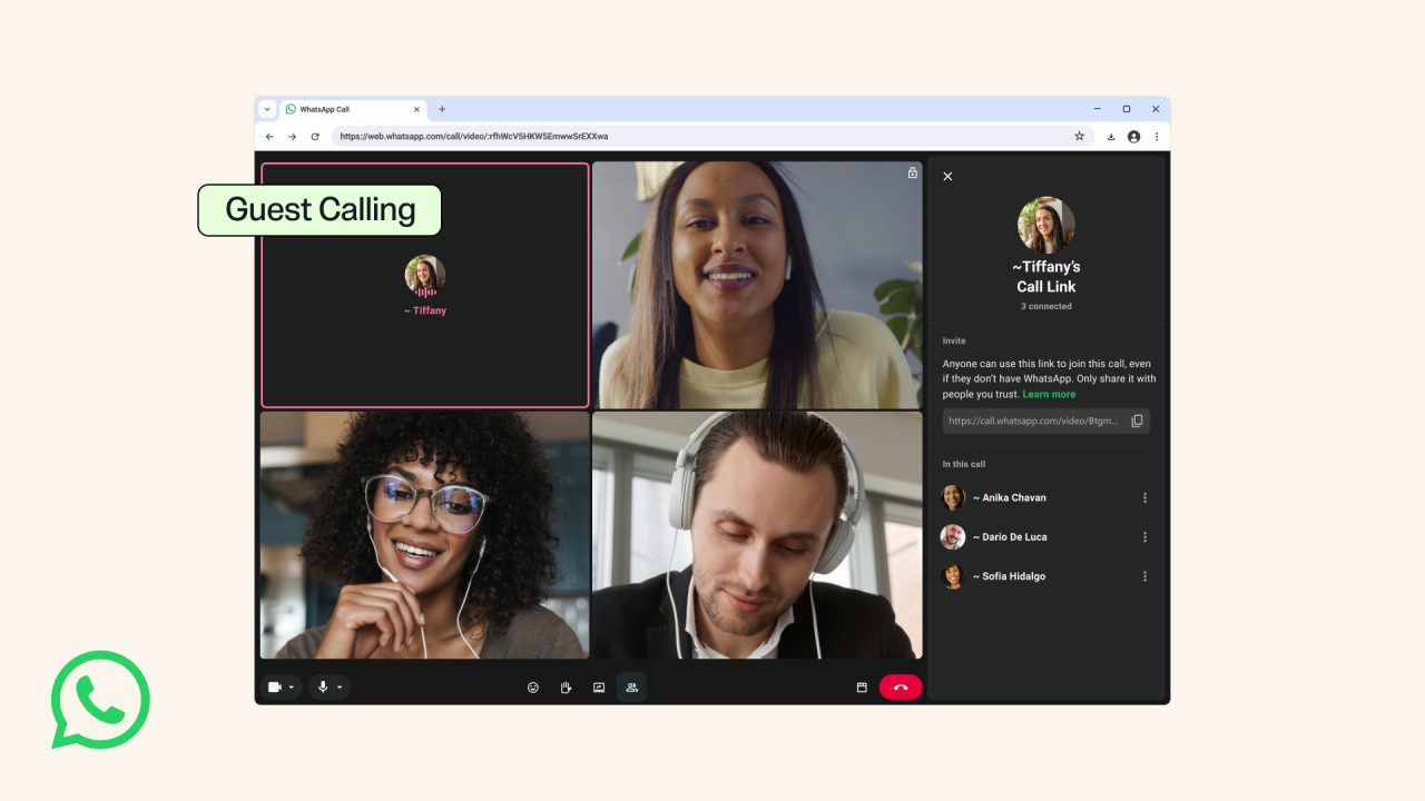 Pantalla de una llamada de WhatsApp con invitados